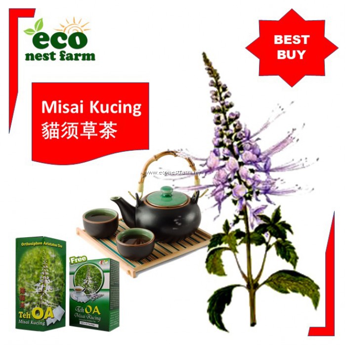 OA Tea 貓鬚茶 (Misai Kucing) 1 box + Free 1 box