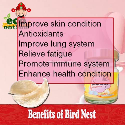 Halal Pati Sarang Burung Asli Bird Nest Authentic 雪耳燕窝